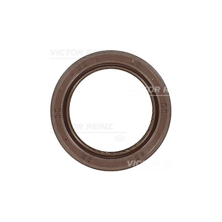 Veleno sandariklis, alkūninis velenas VICTOR REINZ 81-10638-00