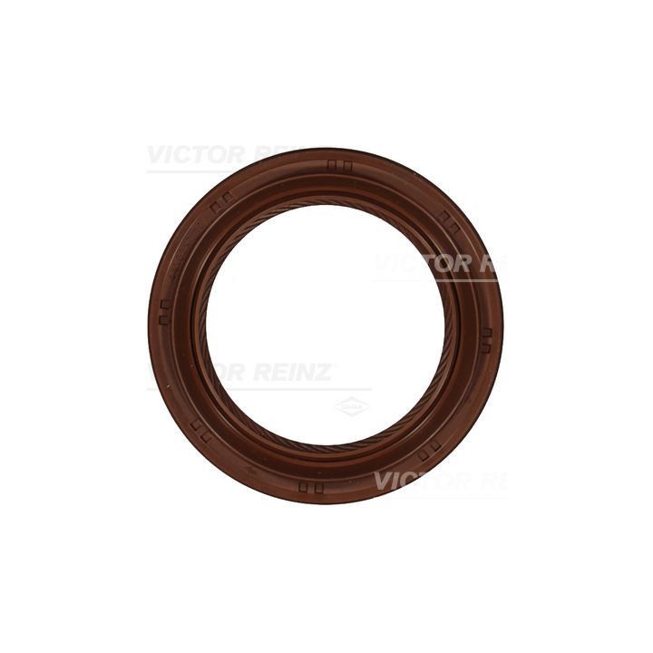 Veleno sandariklis, alkūninis velenas VICTOR REINZ 81-10662-00