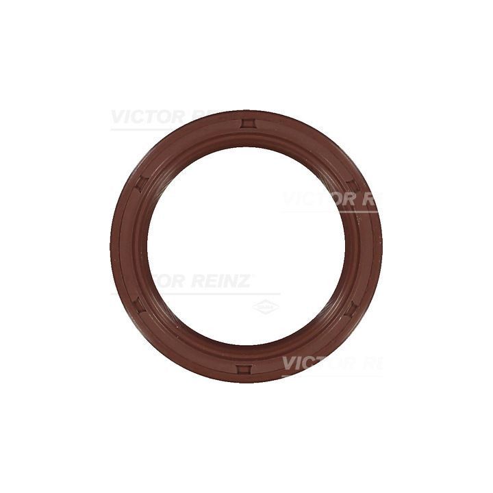 Veleno sandariklis, alkūninis velenas VICTOR REINZ 81-33632-00