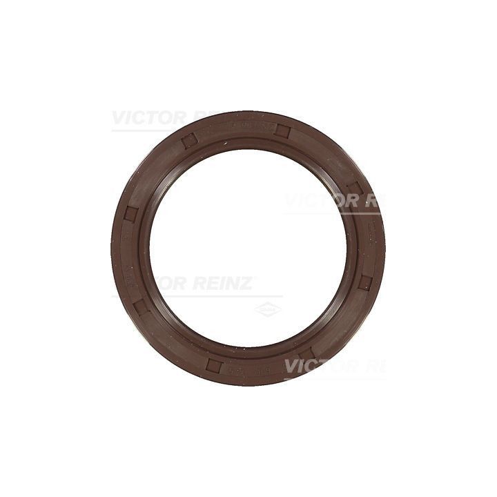 Veleno sandariklis, alkūninis velenas VICTOR REINZ 81-36231-00