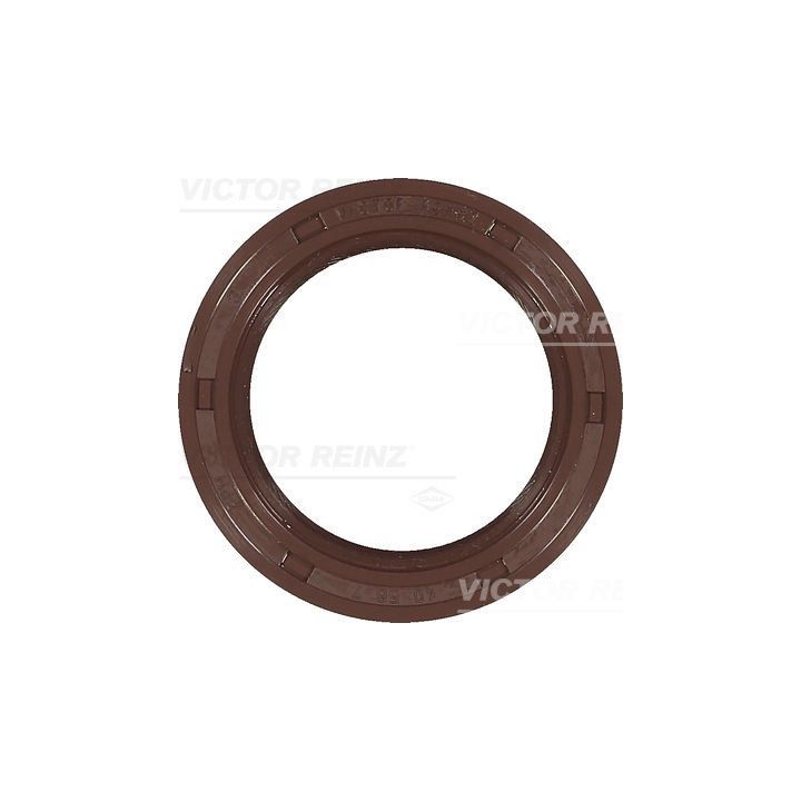 Veleno sandariklis, alkūninis velenas VICTOR REINZ 81-38093-00