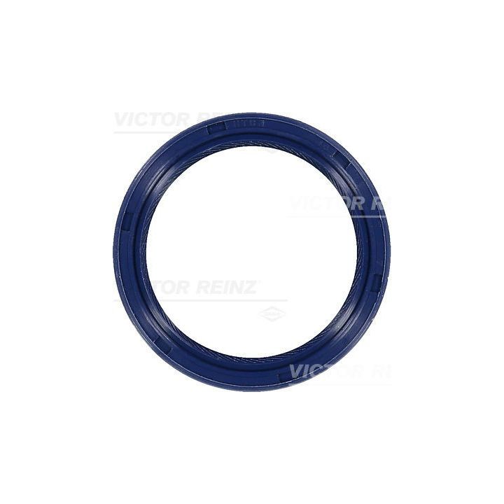 Veleno sandariklis, alkūninis velenas VICTOR REINZ 81-53284-00