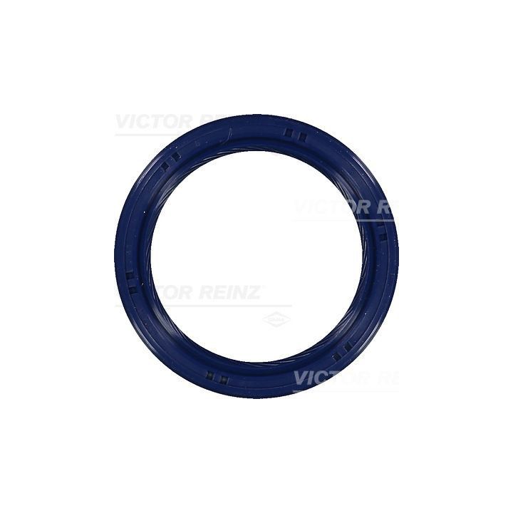 Veleno sandariklis, alkūninis velenas VICTOR REINZ 81-53699-00