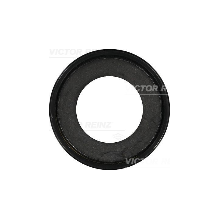 Veleno sandariklis, diferencialas VICTOR REINZ 81-38027-00
