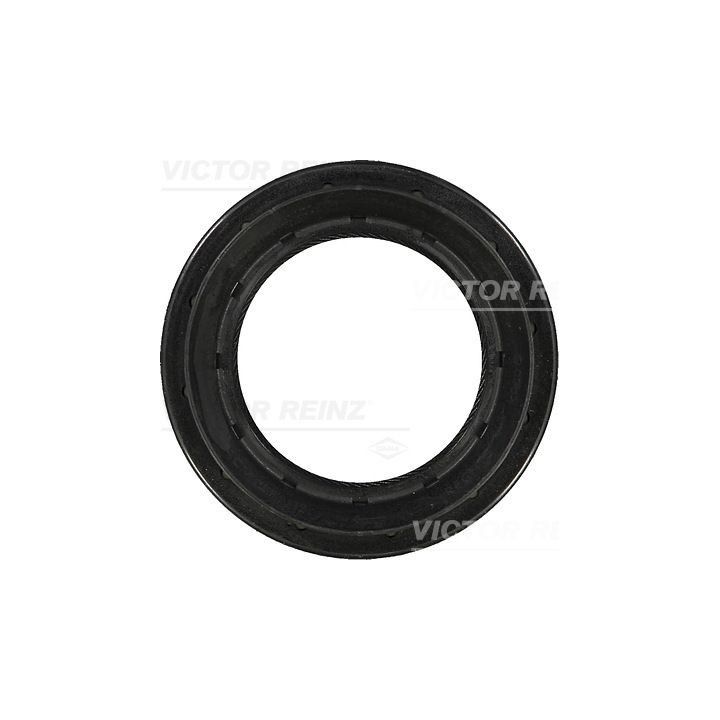 Veleno sandariklis, diferencialas VICTOR REINZ 81-29412-00