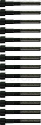 Varžtų kompl., cil. galvutės varžtai VICTOR REINZ 14-10112-01