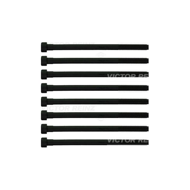 Varžtų kompl., cil. galvutės varžtai VICTOR REINZ 14-10276-02