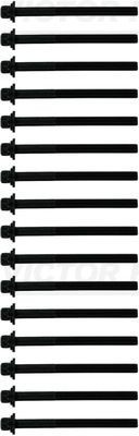 Varžtų kompl., cil. galvutės varžtai VICTOR REINZ 14-10597-01