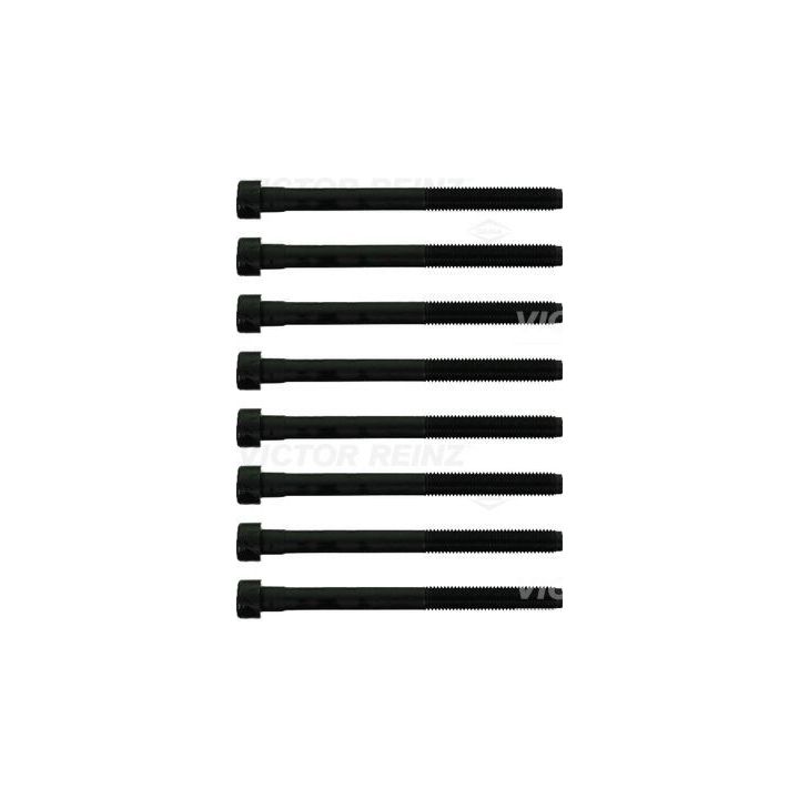 Varžtų kompl., cil. galvutės varžtai VICTOR REINZ 14-10969-01