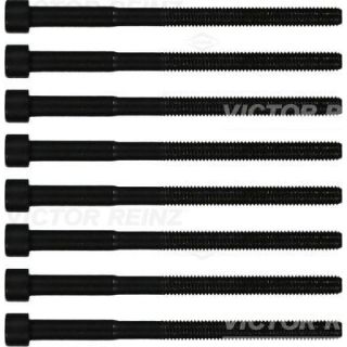 Varžtų kompl., cil. galvutės varžtai VICTOR REINZ 14-12060-01