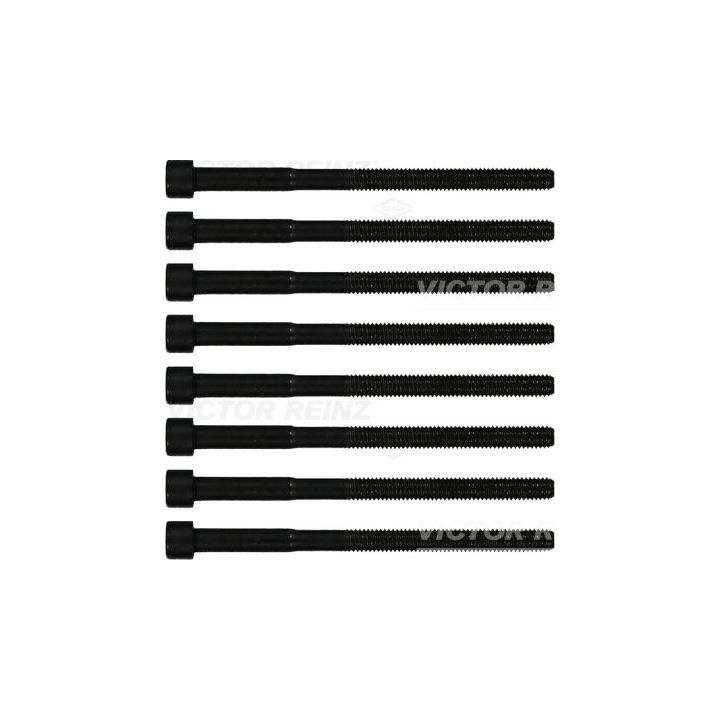 Varžtų kompl., cil. galvutės varžtai VICTOR REINZ 14-12060-01