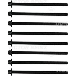 Varžtų kompl., cil. galvutės varžtai VICTOR REINZ 14-12252-01