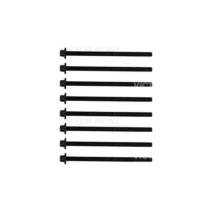 Varžtų kompl., cil. galvutės varžtai VICTOR REINZ 14-12252-01