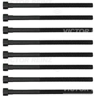 Varžtų kompl., cil. galvutės varžtai VICTOR REINZ 14-12261-01