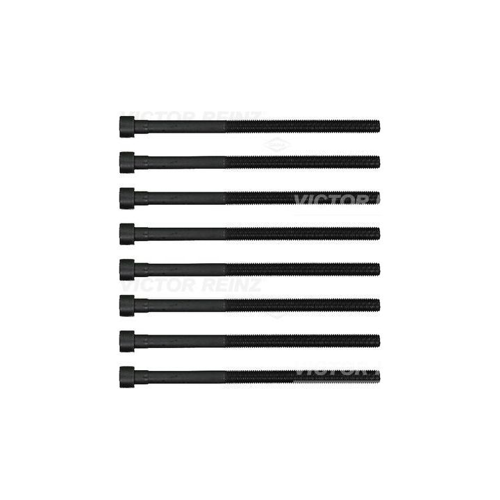 Varžtų kompl., cil. galvutės varžtai VICTOR REINZ 14-12261-01