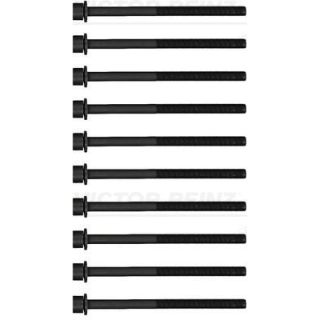 Varžtų kompl., cil. galvutės varžtai VICTOR REINZ 14-13365-01