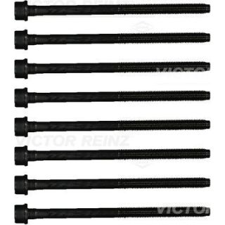 Varžtų kompl., cil. galvutės varžtai VICTOR REINZ 14-21800-01