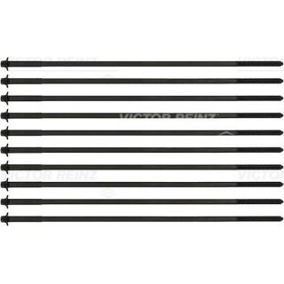 Varžtų kompl., cil. galvutės varžtai VICTOR REINZ 14-32100-01