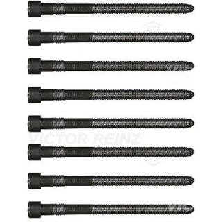 Varžtų kompl., cil. galvutės varžtai VICTOR REINZ 14-32166-03