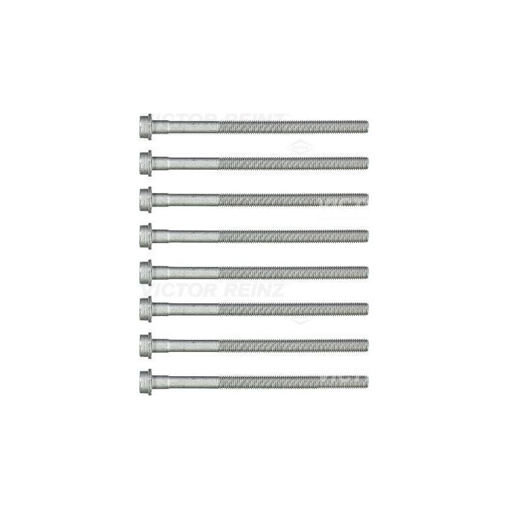 Varžtų kompl., cil. galvutės varžtai VICTOR REINZ 14-32173-01