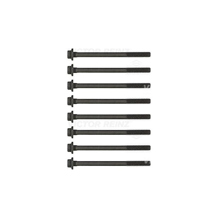 Varžtų kompl., cil. galvutės varžtai VICTOR REINZ 14-32293-01