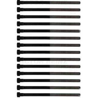 Varžtų kompl., cil. galvutės varžtai VICTOR REINZ 14-32306-01