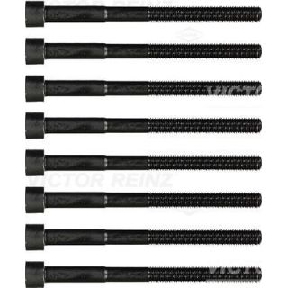 Varžtų kompl., cil. galvutės varžtai VICTOR REINZ 14-32333-02