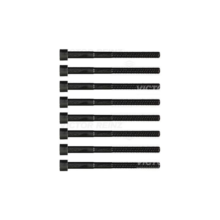 Varžtų kompl., cil. galvutės varžtai VICTOR REINZ 14-32333-02