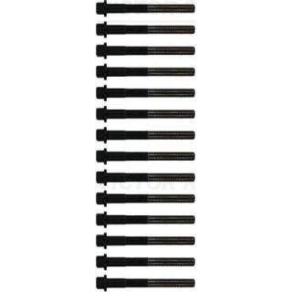 Varžtų kompl., cil. galvutės varžtai VICTOR REINZ 14-32354-01