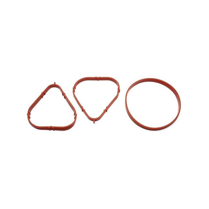 Tarpiklių rinkinys, įsiurbimo kolektorius ELRING 008.170