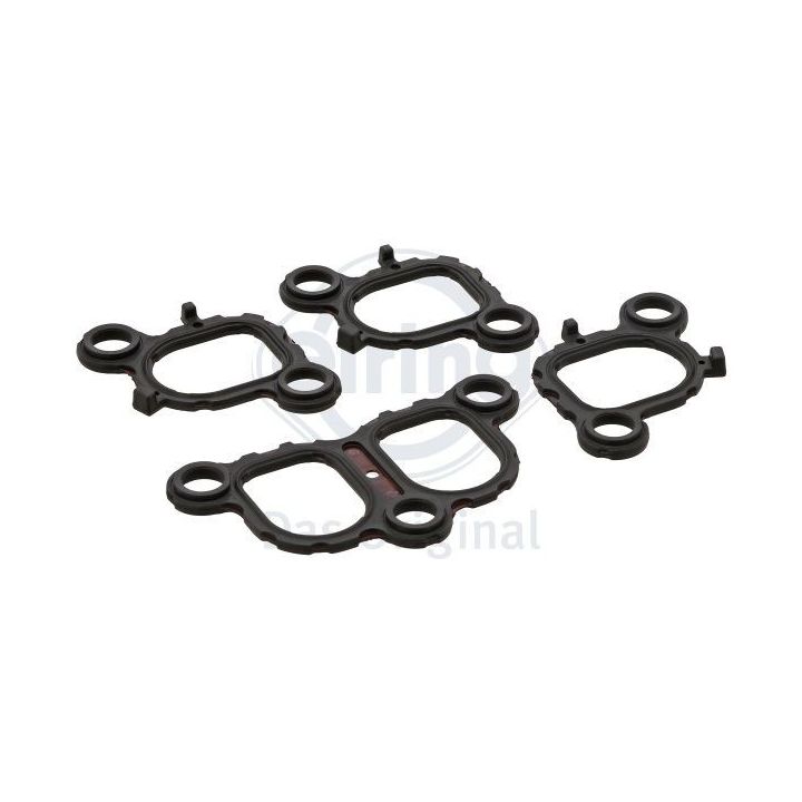 Tarpiklių rinkinys, įsiurbimo kolektorius ELRING 217.460