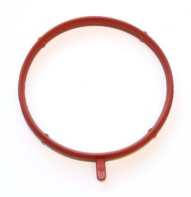 Tarpiklis, įsiurbimo kolektoriaus korpusas ELRING 359.360