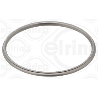 Tarpiklis, išleidimo kolektorius ELRING 800.880