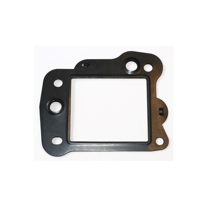 Tarpiklis, EGR vožtuvas ELRING 449.550