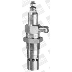 Kaitinimo žvakė BorgWarner (BERU) GF006