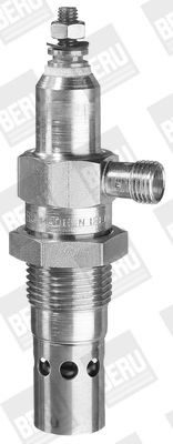 Kaitinimo žvakė BorgWarner (BERU) GF006