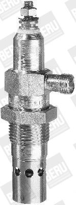 Kaitinimo žvakė BorgWarner (BERU) GF974