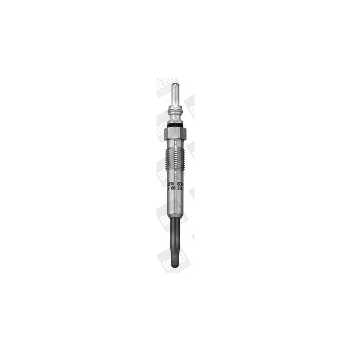 Kaitinimo žvakė BorgWarner (BERU) GN018
