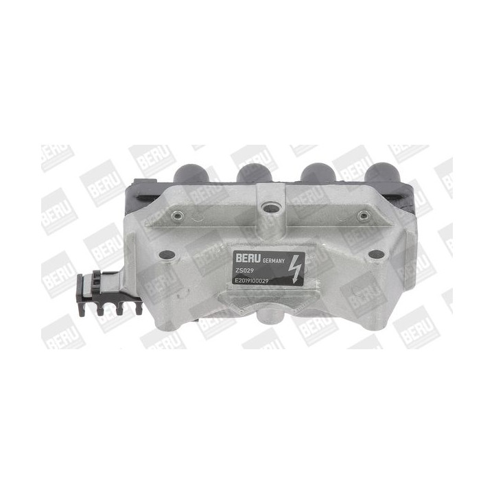 Ritė, uždegimas BorgWarner (BERU) ZS029