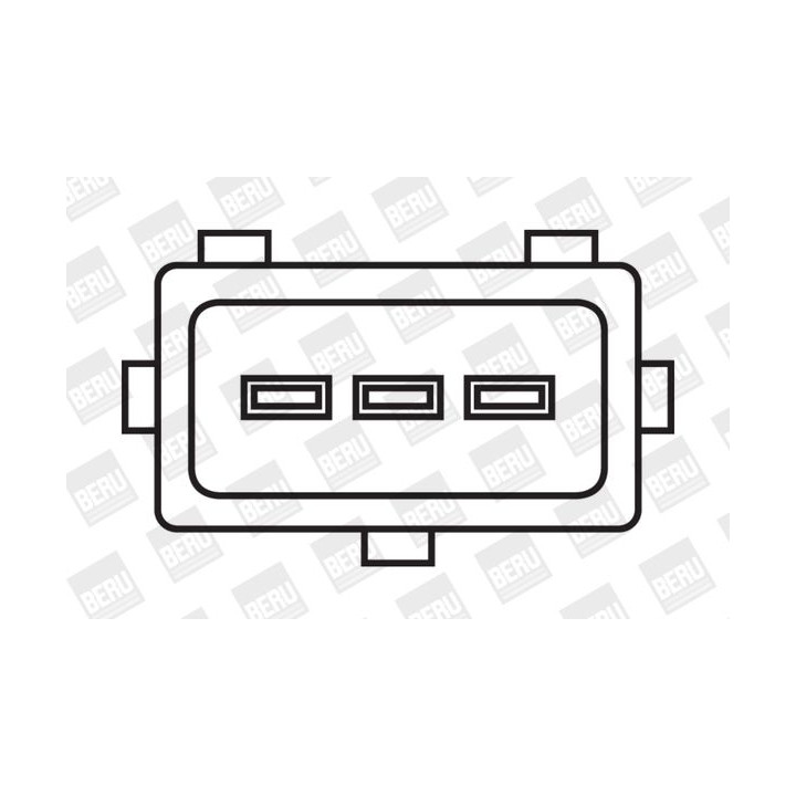 Ritė, uždegimas BorgWarner (BERU) ZS029