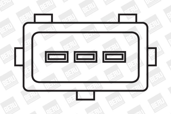 Ritė, uždegimas BorgWarner (BERU) ZS029