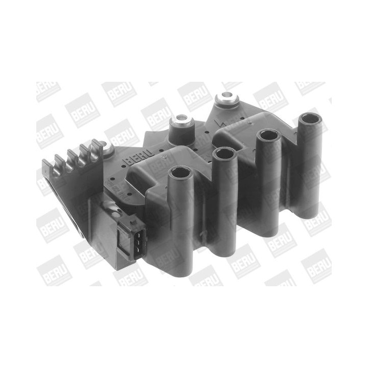 Ritė, uždegimas BorgWarner (BERU) ZS029