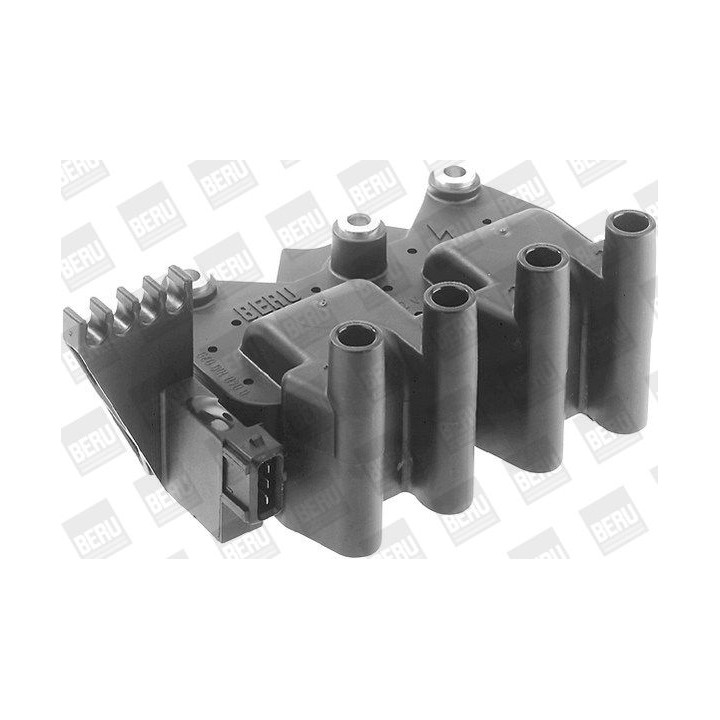 Ritė, uždegimas BorgWarner (BERU) ZS029