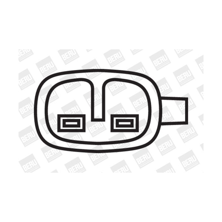 Ritė, uždegimas BorgWarner (BERU) ZS052