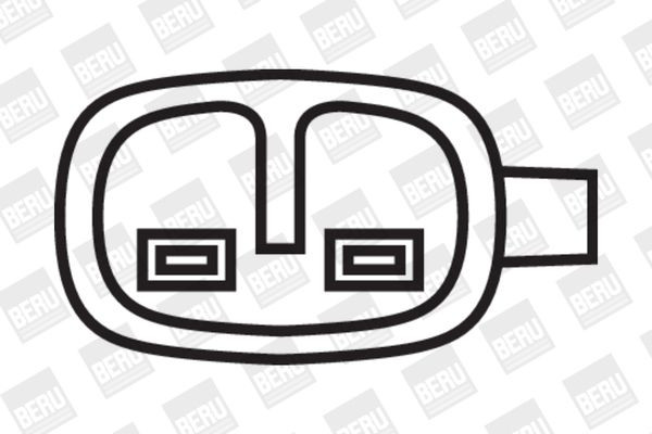 Ritė, uždegimas BorgWarner (BERU) ZS052