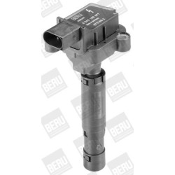 Ritė, uždegimas BorgWarner (BERU) ZS077