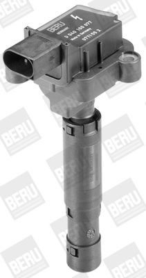 Ritė, uždegimas BorgWarner (BERU) ZS077