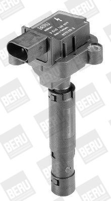 Ritė, uždegimas BorgWarner (BERU) ZS077