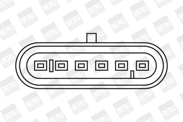 Ritė, uždegimas BorgWarner (BERU) ZS079