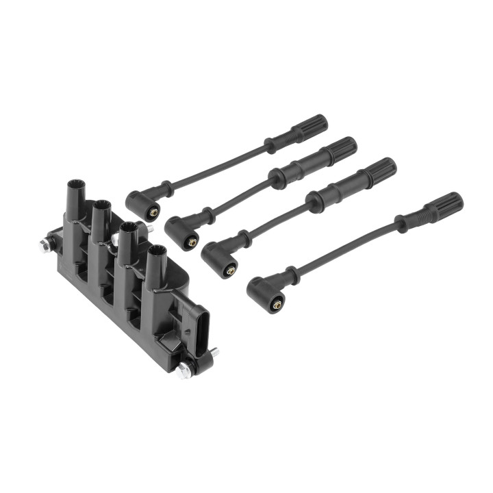 Ritė, uždegimas BorgWarner (BERU) ZS079A